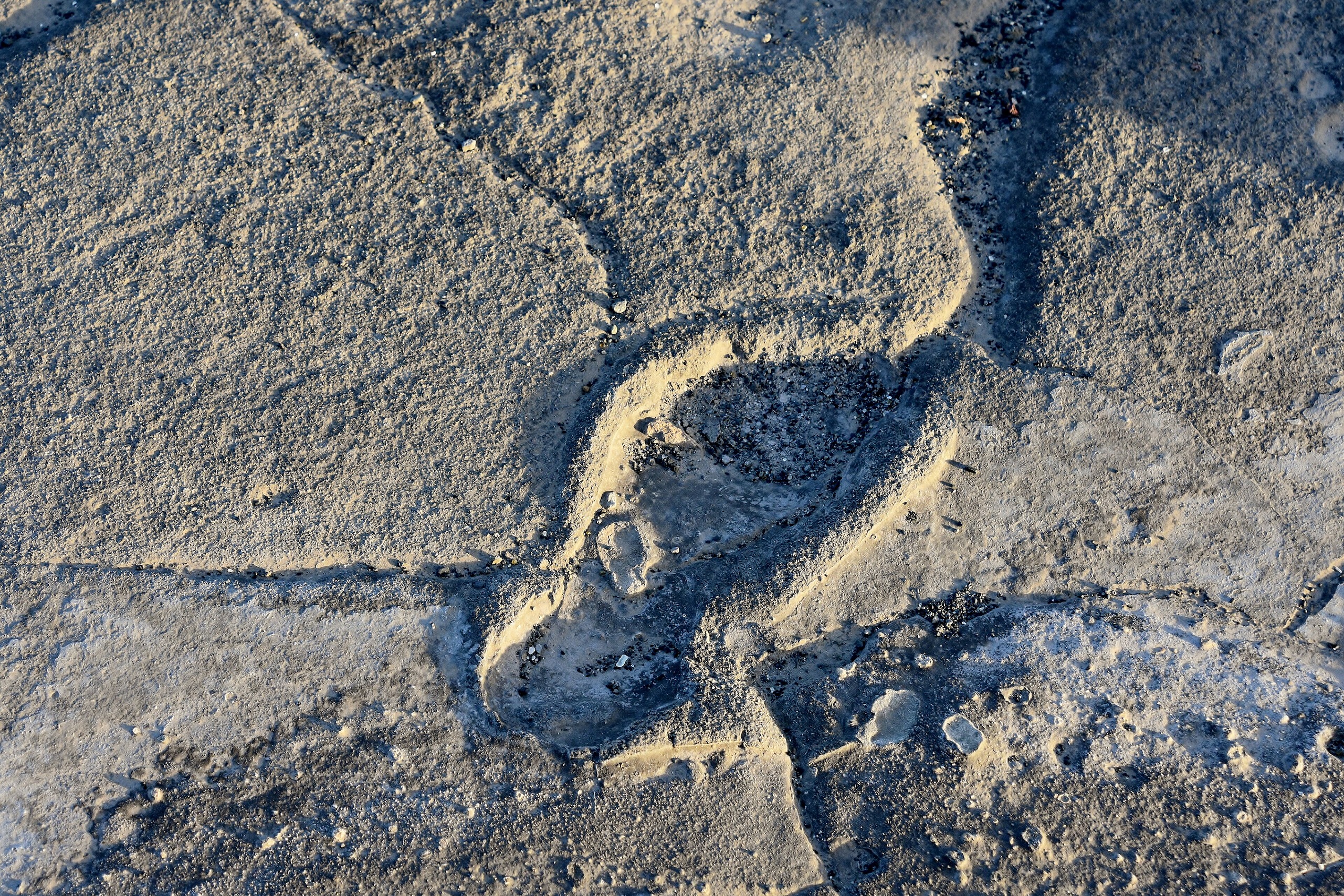 Ancient footsteps