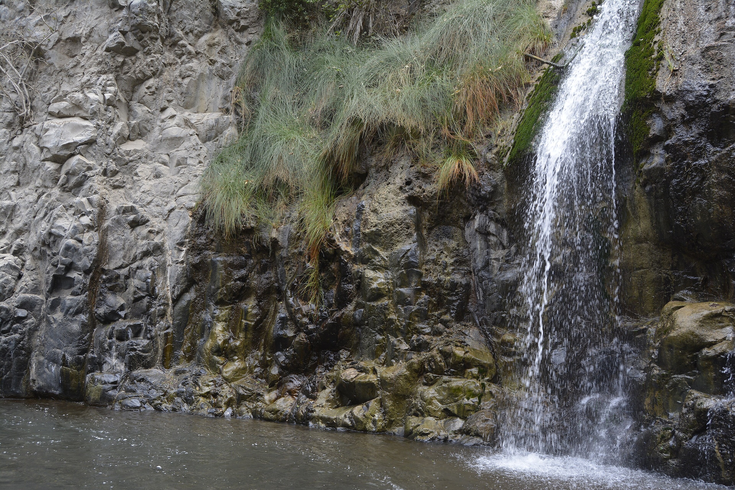 Into the gorge